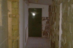 IMAG0558