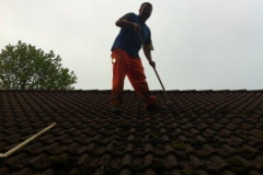 Iphonebilder_23.08.2012_501